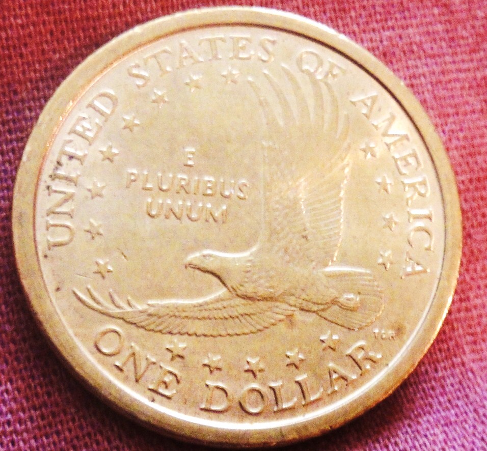 Opinions-On-A-Sac-Wounded-Eagle-Specimen